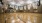 will lit, indoor basketball court